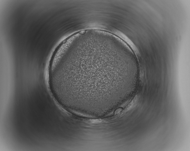 X0000101421144200807211123