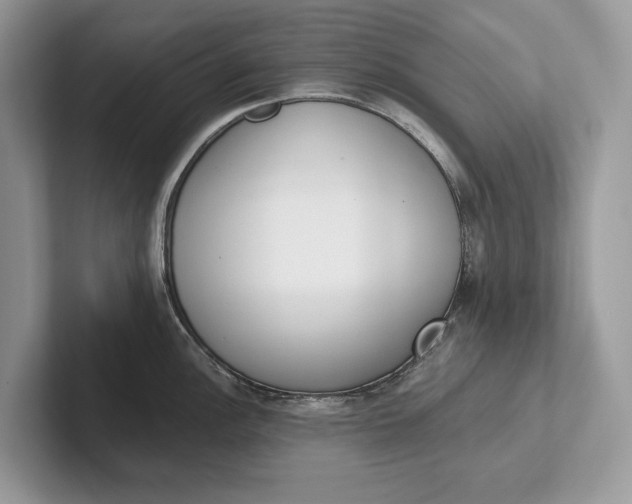 X0000101421148200807211123