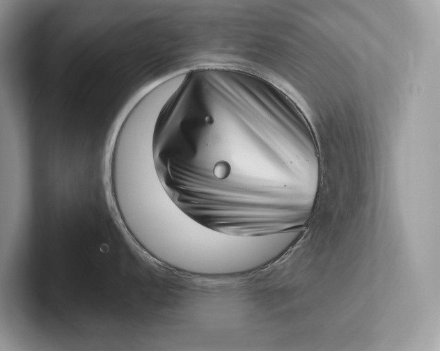 X0000101421152200807211123