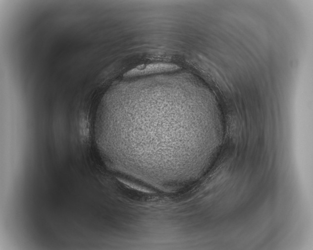 X0000101421154200807211123