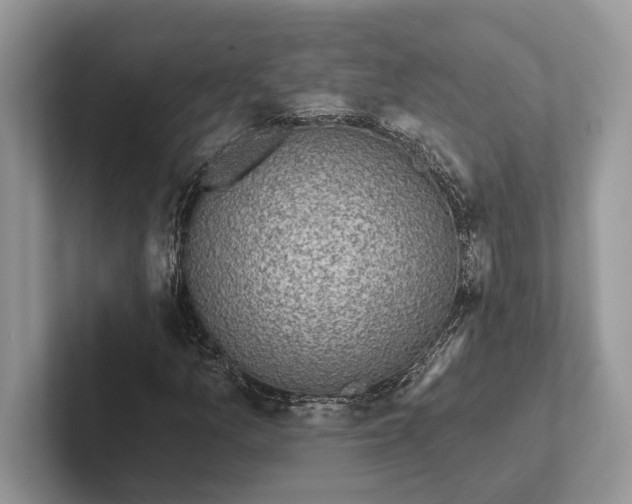 X0000101421157200807211123