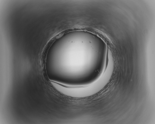 X0000101421160200807211122