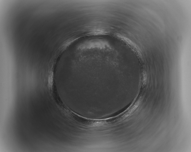 X0000101421161200807211122