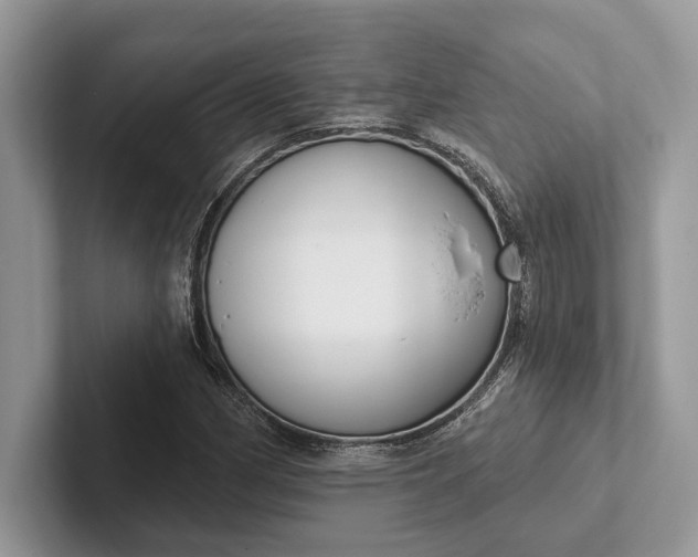 X0000101421162200807211122