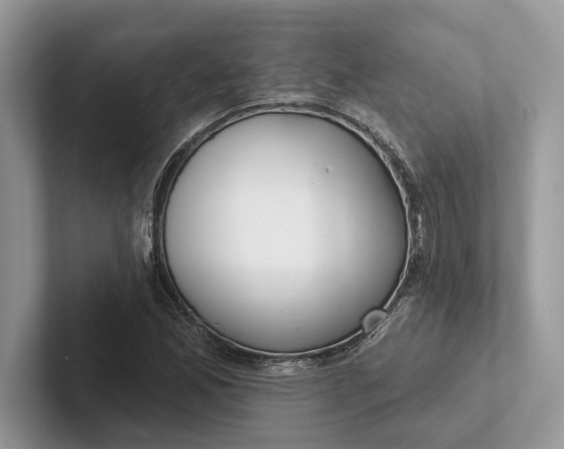 X0000101421165200807211122