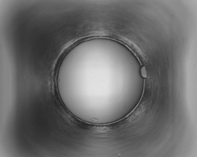 X0000101421168200807211122