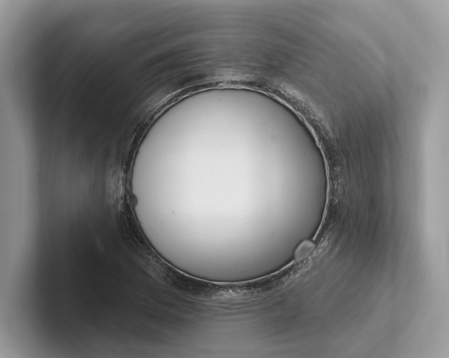 X0000101421169200807211122