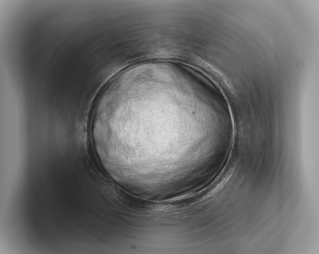 X0000101421170200807211122