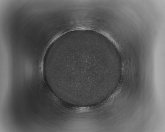 X0000101421173200807211122