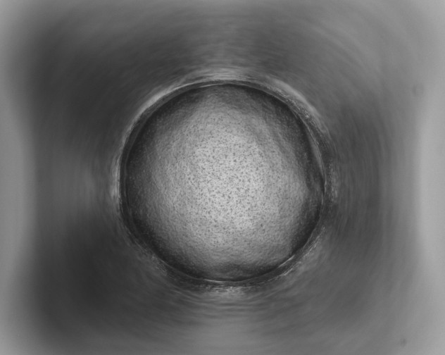 X0000101421174200807211122