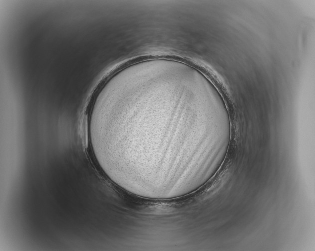 X0000101421175200807211122
