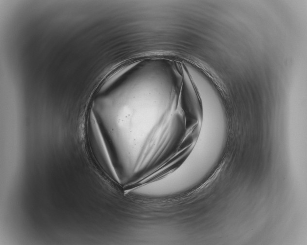 X0000101421177200807211122