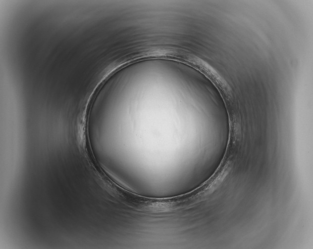 X0000101421178200807211122