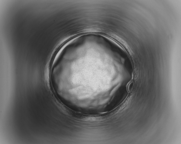 X0000101421179200807211122