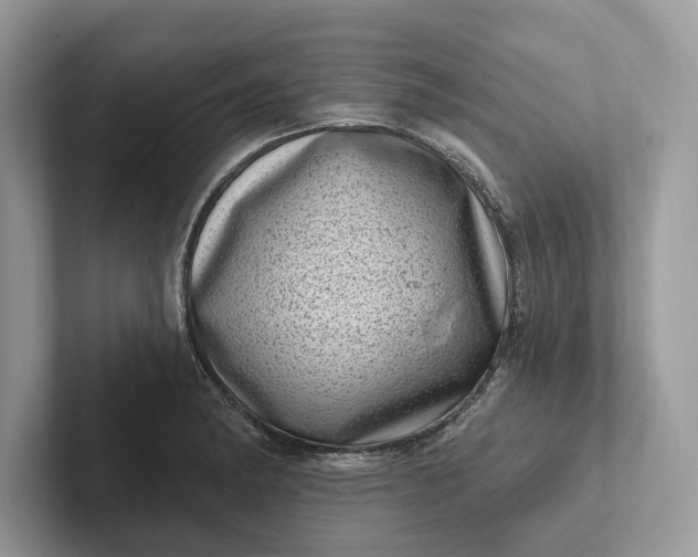 X0000101421182200807211122