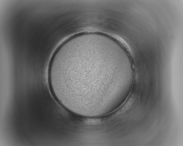 X0000101421183200807211122