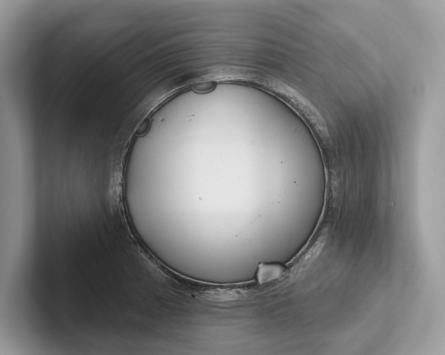 X0000101421185200807211122