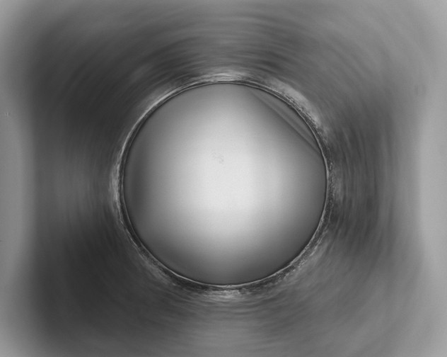 X0000101421186200807211122