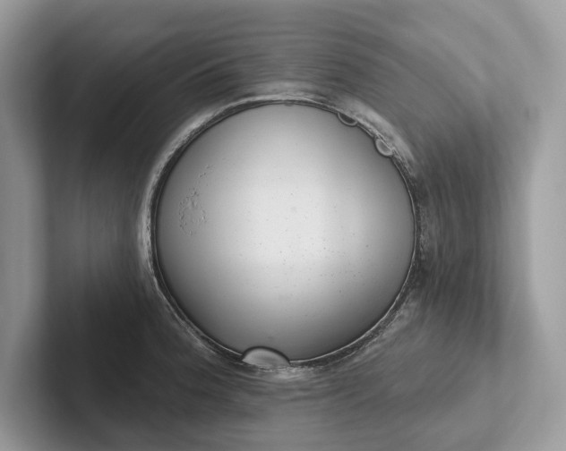 X0000101421188200807211122