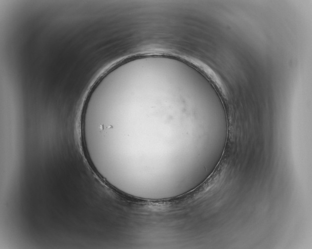 X0000101421191200807211122