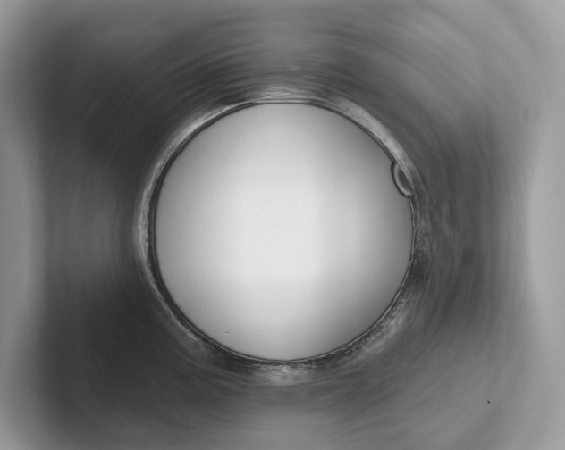 X0000101421195200807211122