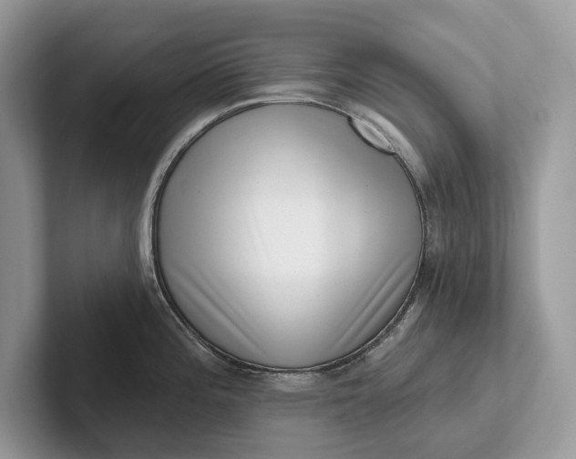 X0000101421196200807211122