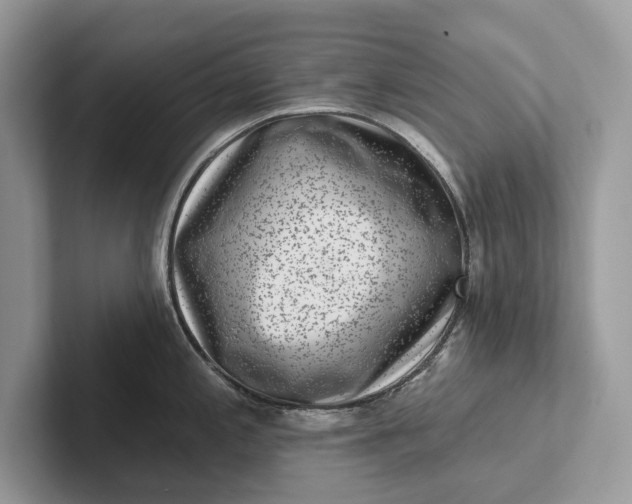 X0000101421197200807211122