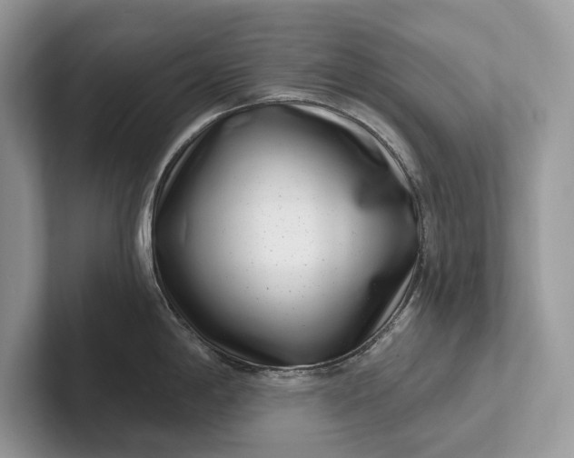 X0000101421198200807211122