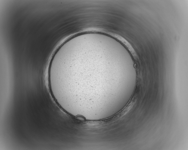 X0000101421199200807211122