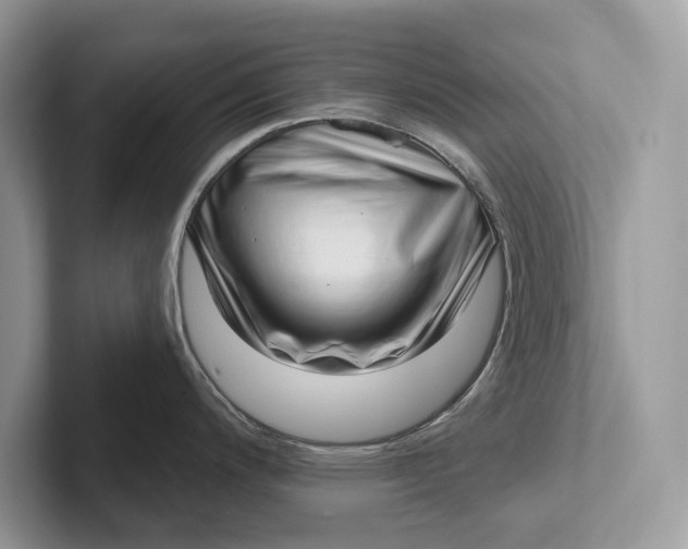 X0000101421200200807211122