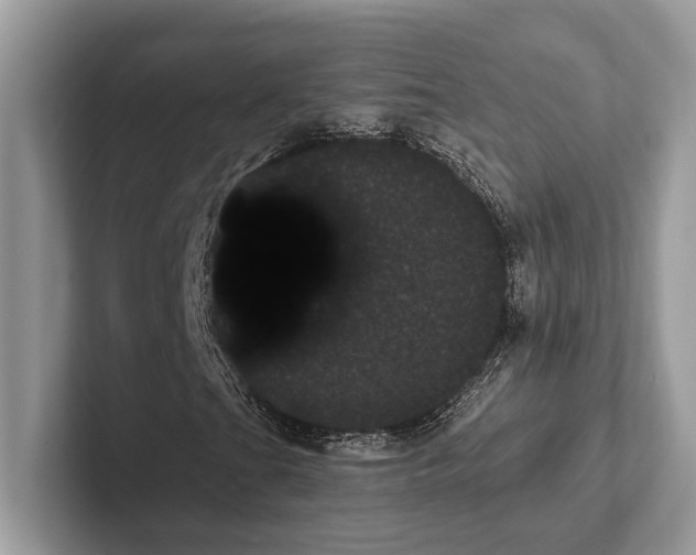 X0000101421201200807211121