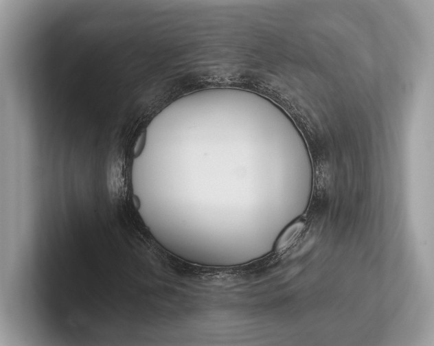 X0000101421202200807211121