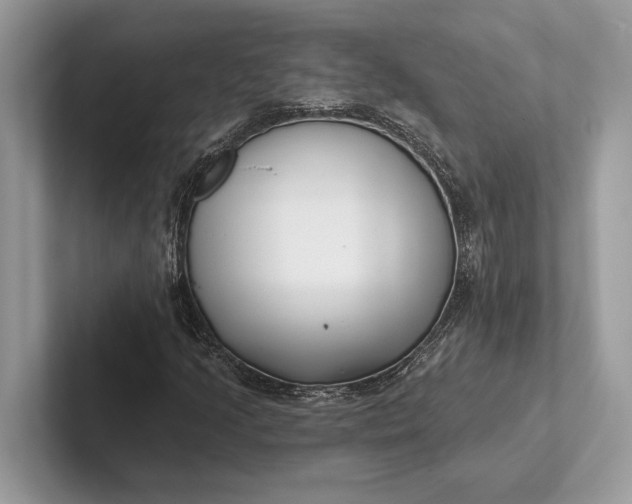 X0000101421205200807211121