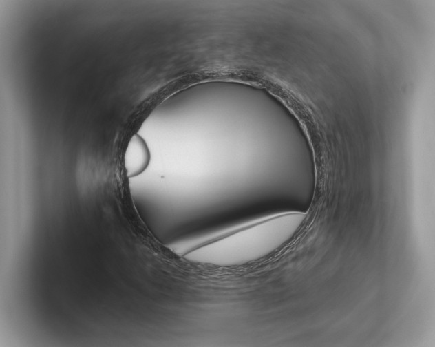 X0000101421206200807211121