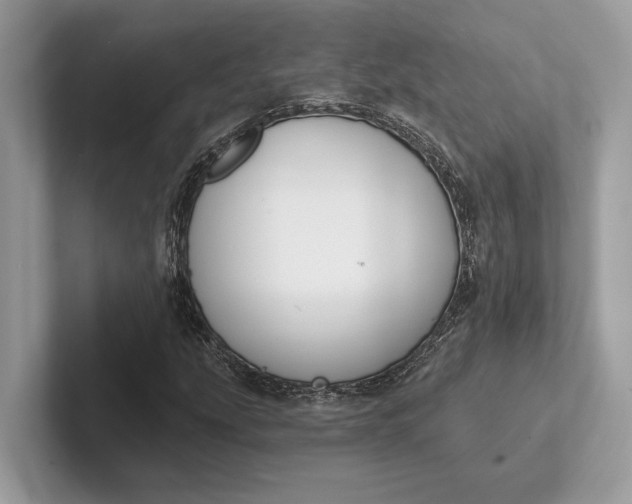 X0000101421207200807211121