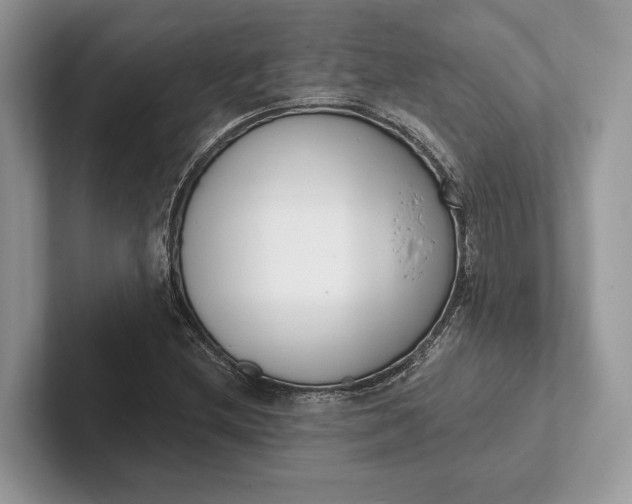 X0000101421212200807211121