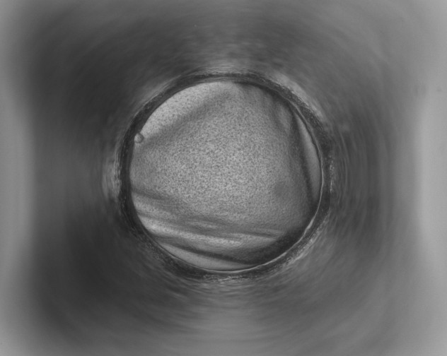 X0000101421213200807211121