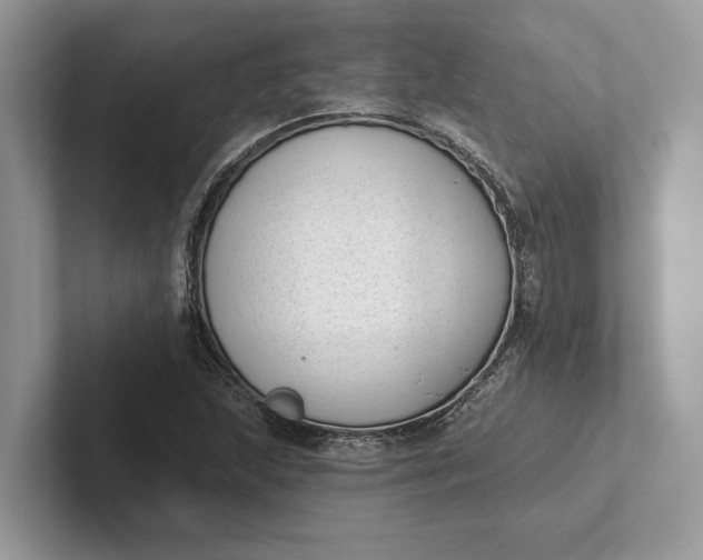 X0000101421215200807211121