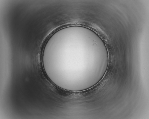 X0000101421216200807211121