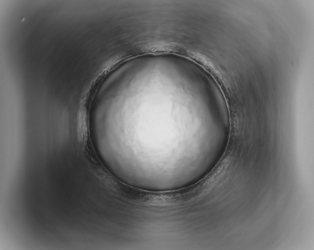 X0000101421219200807211122