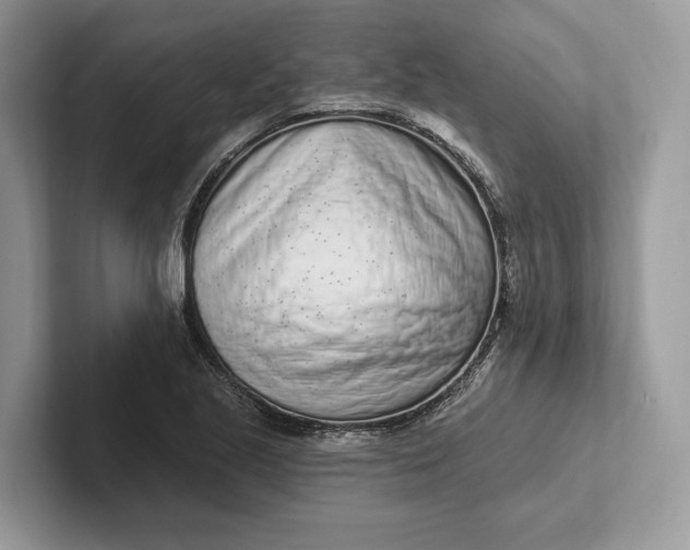 X0000101421221200807211122