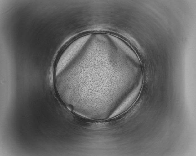 X0000101421224200807211122