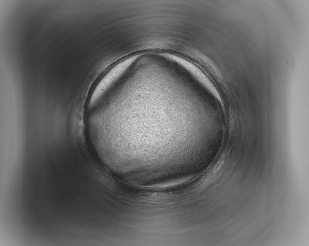 X0000101421226200807211122