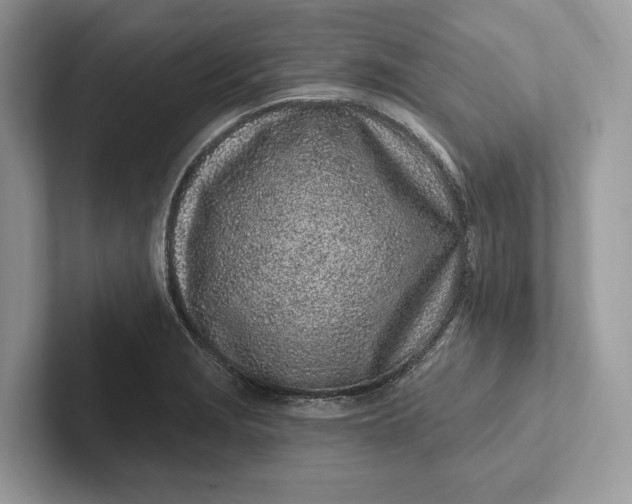 X0000101421229200807211122