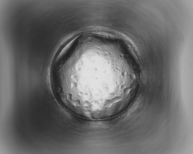 X0000101421231200807211122