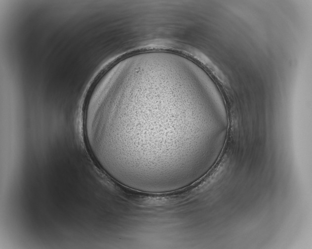 X0000101421232200807211122