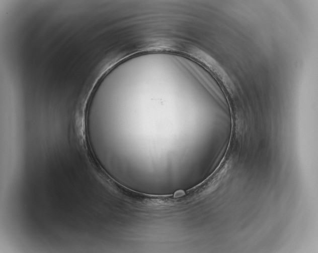 X0000101421234200807211122