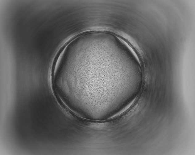 X0000101421237200807211122