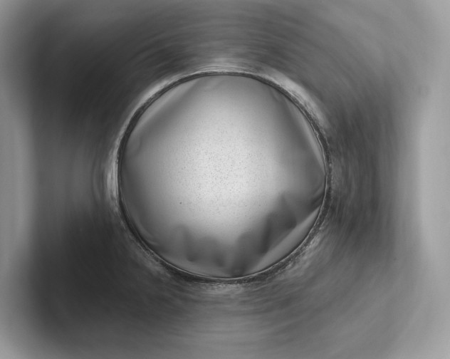 X0000101421238200807211122