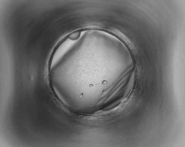 X0000101421240200807211122